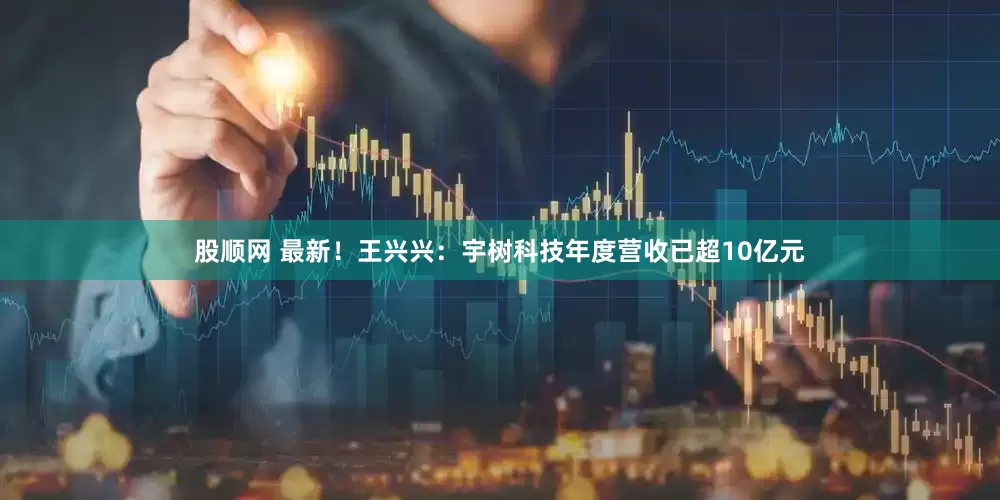股顺网 最新！王兴兴：宇树科技年度营收已超10亿元
