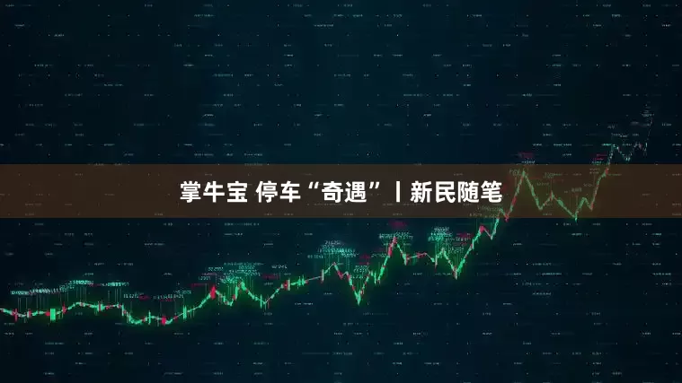 掌牛宝 停车“奇遇”丨新民随笔